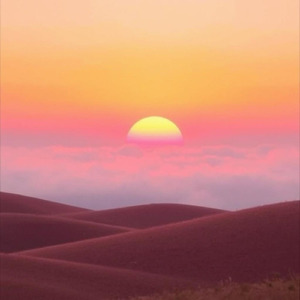 “うまく生きる”よりも “自分でいる”ことを選ぼう