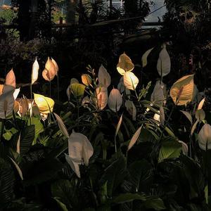 SOKVAXXX/林忆莲-YOU