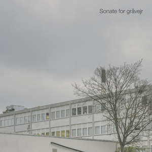 Sonate for gråvejr