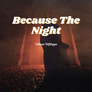 Because The Night
