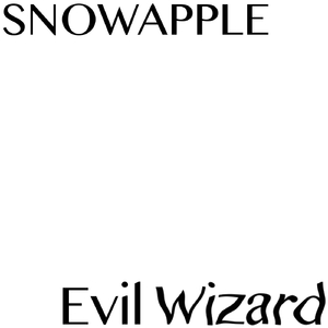 Evil Wizard