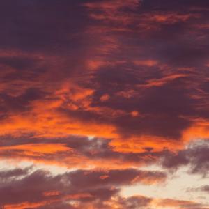 New Boy(WYY)_190312_190318_track0_190318