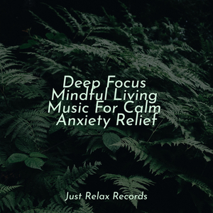 Desert's Haunting Memories