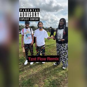 Tznt Flow (Remix)