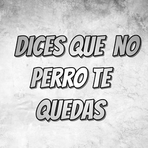 Dices Que No Perro Te Quedas