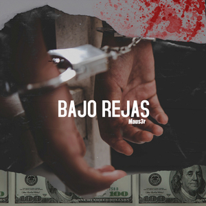 Bajo Rejas