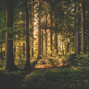 How Deep the Father's Love for Us