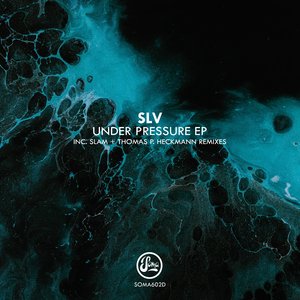 Perpetual Slaughter (Thomas P Heckmann Remix)