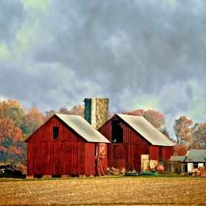 嚣张~x（翻自 en）