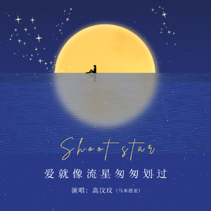 爱就像流星匆匆划过