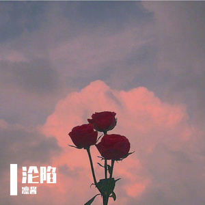 沦陷（翻自 王靖雯不胖）