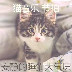 微妙的睡猫心情