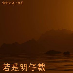 若是明仔载