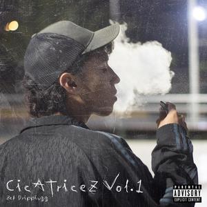 Cicatricez