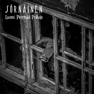 Lumi peittää polun