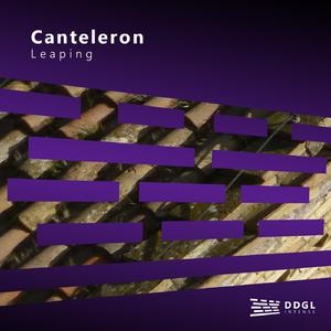 Leaping (Radio Edit)