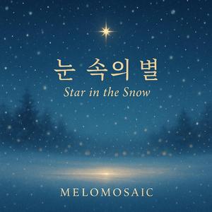 눈 속의 별 (Star in the Snow)