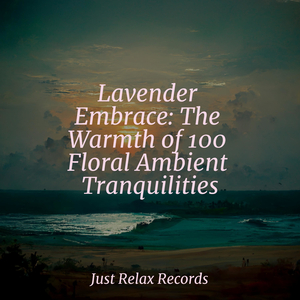 Midnight Murmurs to Remember