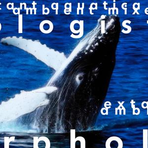Angler (Ambient Mix)