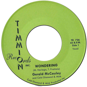 Wondering (Instrumental)