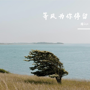 等风为你停留