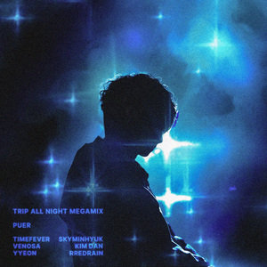 Trip all night MEGAMIX (feat. TimeFeveR(타임피버), 스카이민혁(Skyminhyuk), Rredrain(레드레인), Yyeon, VENOSA, 김단)