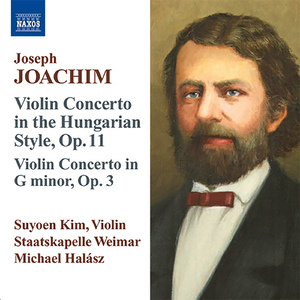 Violin Concerto in D Minor, Op. 11, "in ungarischer Weise" (In the Hungarian Style):III. Finale alla Zingara: Allegro con spirito