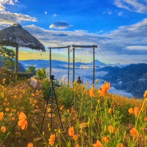 Sunny Flowers of Clouds