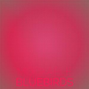 Sunglasses Termination