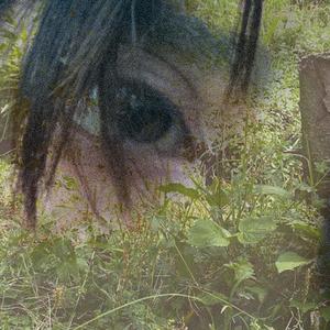 木枯らし(kogarashi)