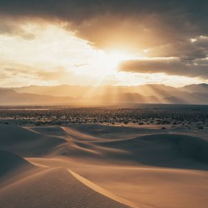 我习惯了一个人 (烟嗓版)