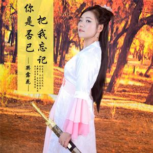 你是否已把我忘记