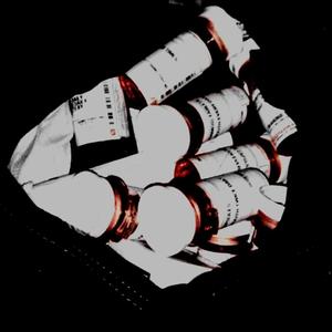 PSILOCYBIN (feat. Merpco)