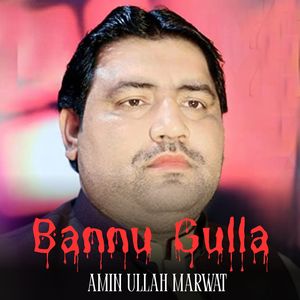 Bannu Gulla