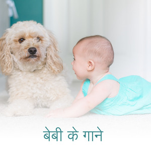 श्वेत रव