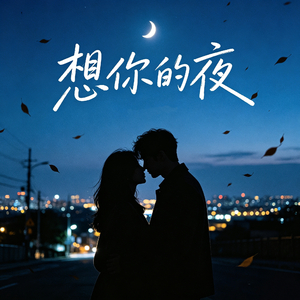 想你的夜