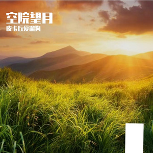 江屿寄初心