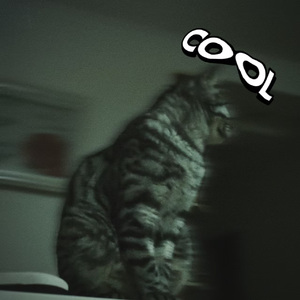 deer UK first leg（deer uk-1）