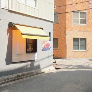 Castores