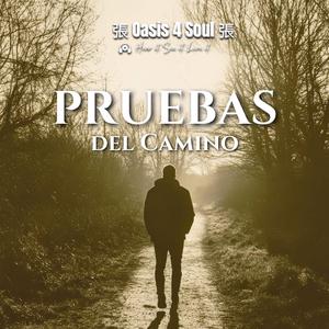 Pruebas del Camino