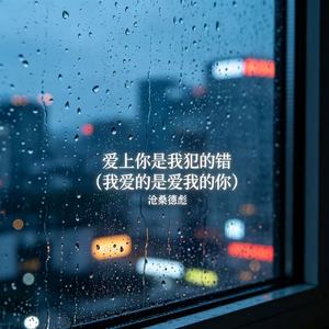爱上你是我犯的错（我爱的是爱我的你）