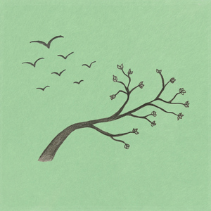 Birdsongs