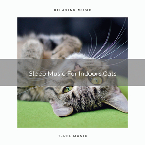 Sleep Melodies For Devoted Cats