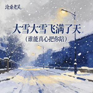 大雪大雪飞满了天(谁能真心把你陪)