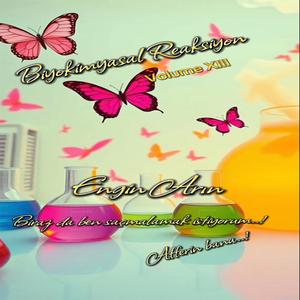 Biyokimyasal Reaksiyon, Vol. XIII