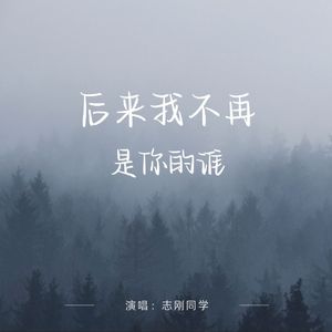 后来我不再是你的谁 (志刚语版伴奏)