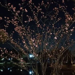 春娇与志明+戒不掉+不需要挽留