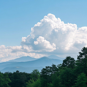 balas en los manglares