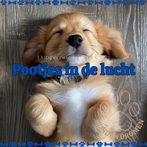 Kalmerende muziek voor hond