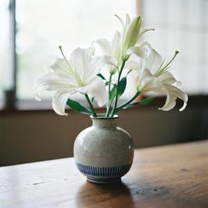 忍住 (Cover 司马缸砸光)